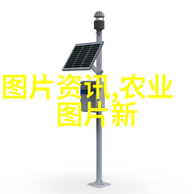 绿意盎然的室内花园探秘10种旺家必备植物