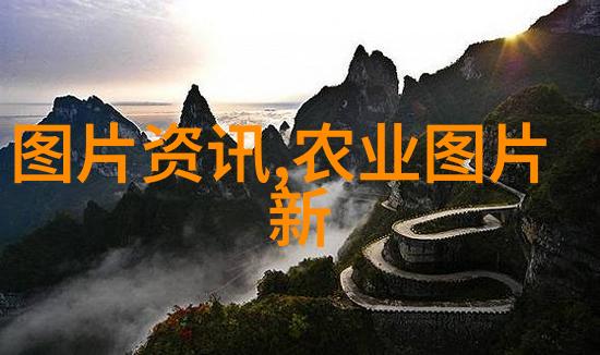 西北苗木行情暴跌-荒漠中的绿意消逝西北苗木行业的逆境探索