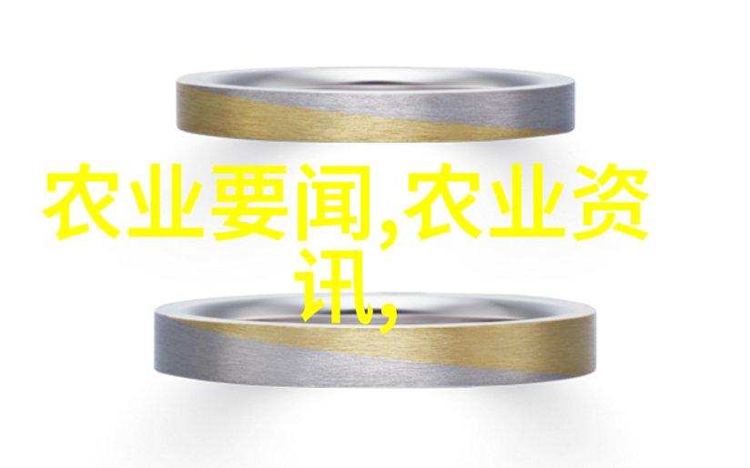 中年求职新篇章如何在45至50岁重启职业生涯