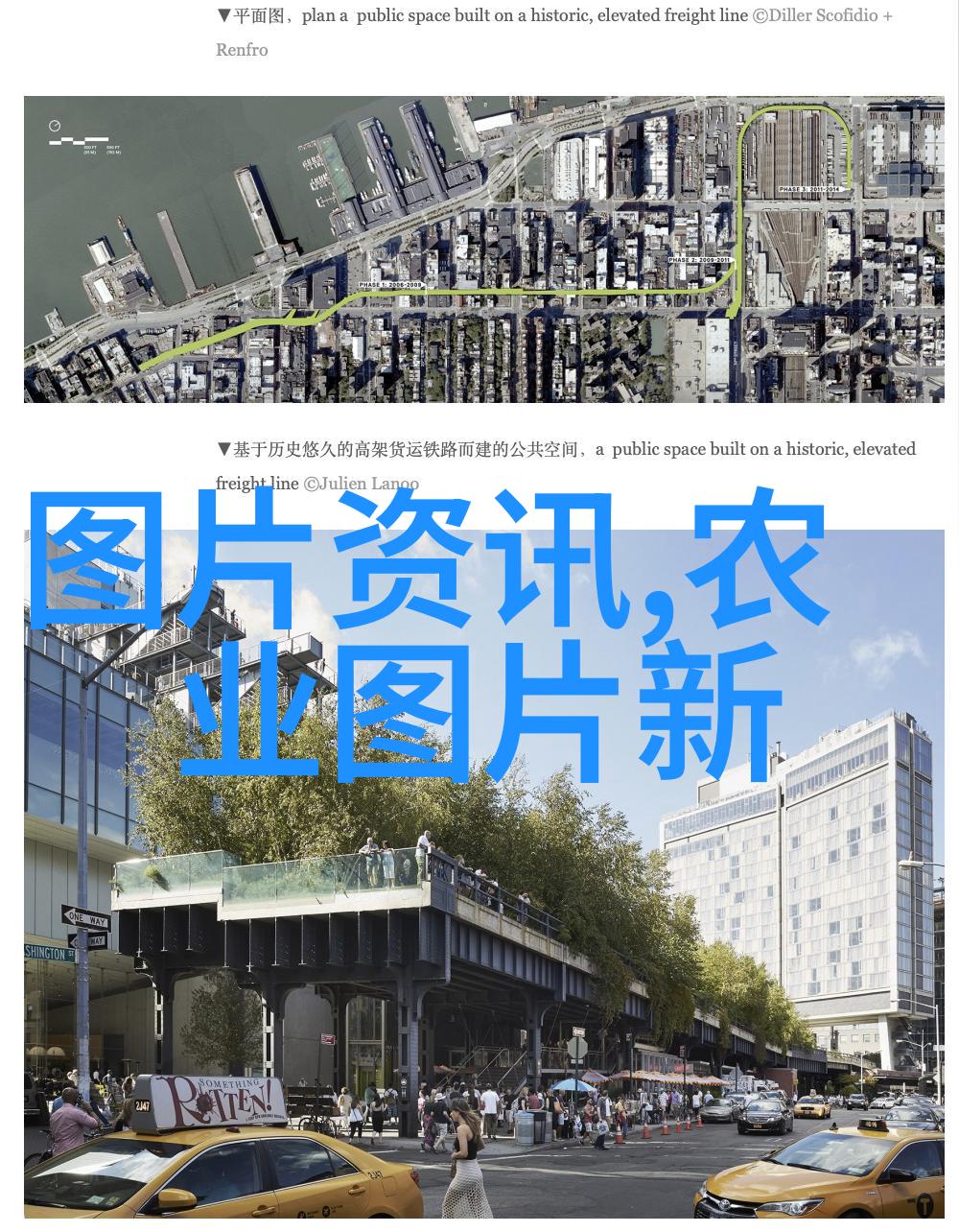 农村种植什么花卉最赚钱我来告诉你一个秘密那些看似简单的花儿实际上能让你赚到不少钱