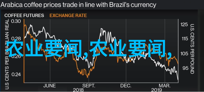金丝楠苗木的宝贵10公分精选种植小秘密