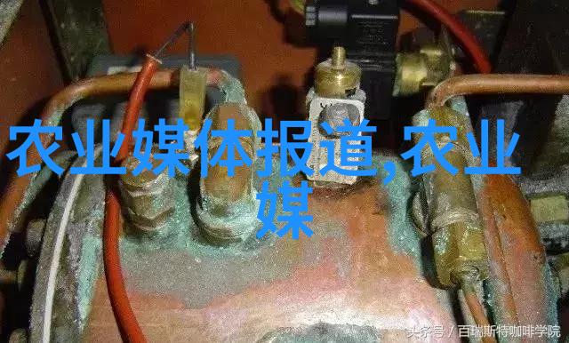 免费提供药材种苗基地我来帮你搞定你的药材种植梦想
