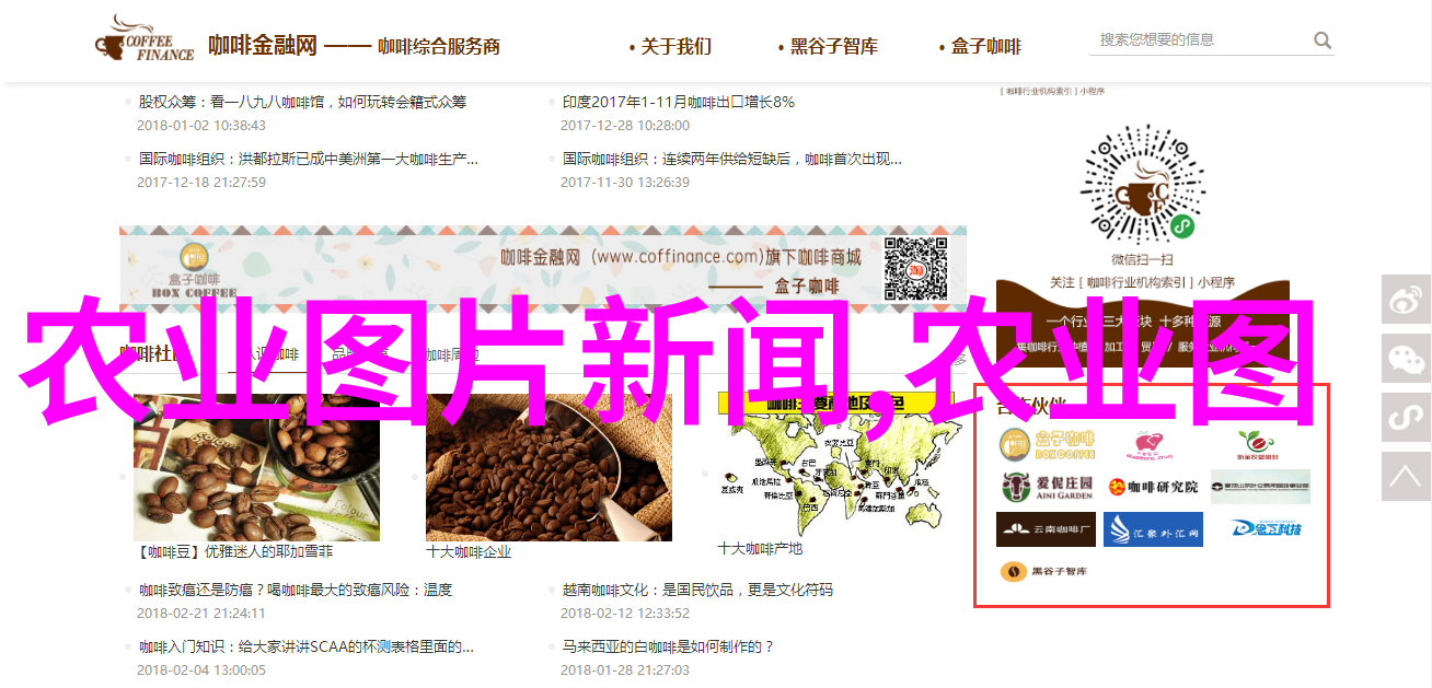 阳台上的绿意盎然揭秘那些让邻里都羡慕不已的旺宅植物