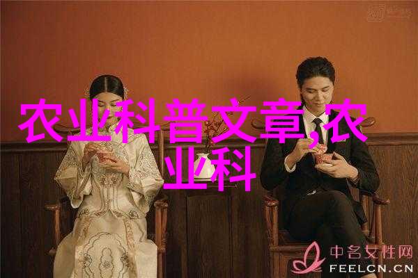 云南花卉批发基地指南探索云南鲜花源头的秘密