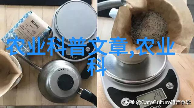 数字媒体技术的未来职场新贵与创意无限