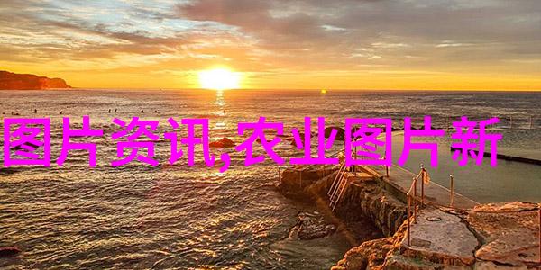 药海生意山珍难求