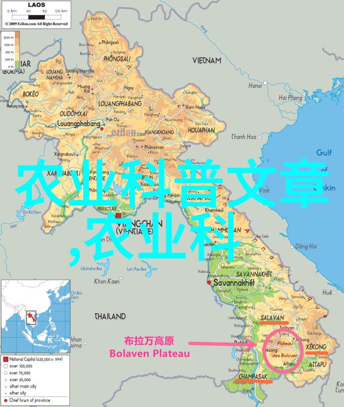 室内花园的四季盛宴适合四季开花的室内养花秘籍