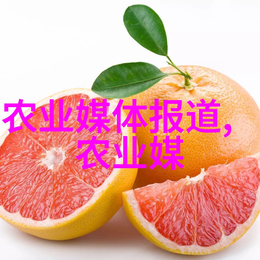 山鸡养殖技术-高效管理与营养均衡的关键要点