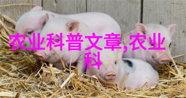 大蒜种植从土到头的故事