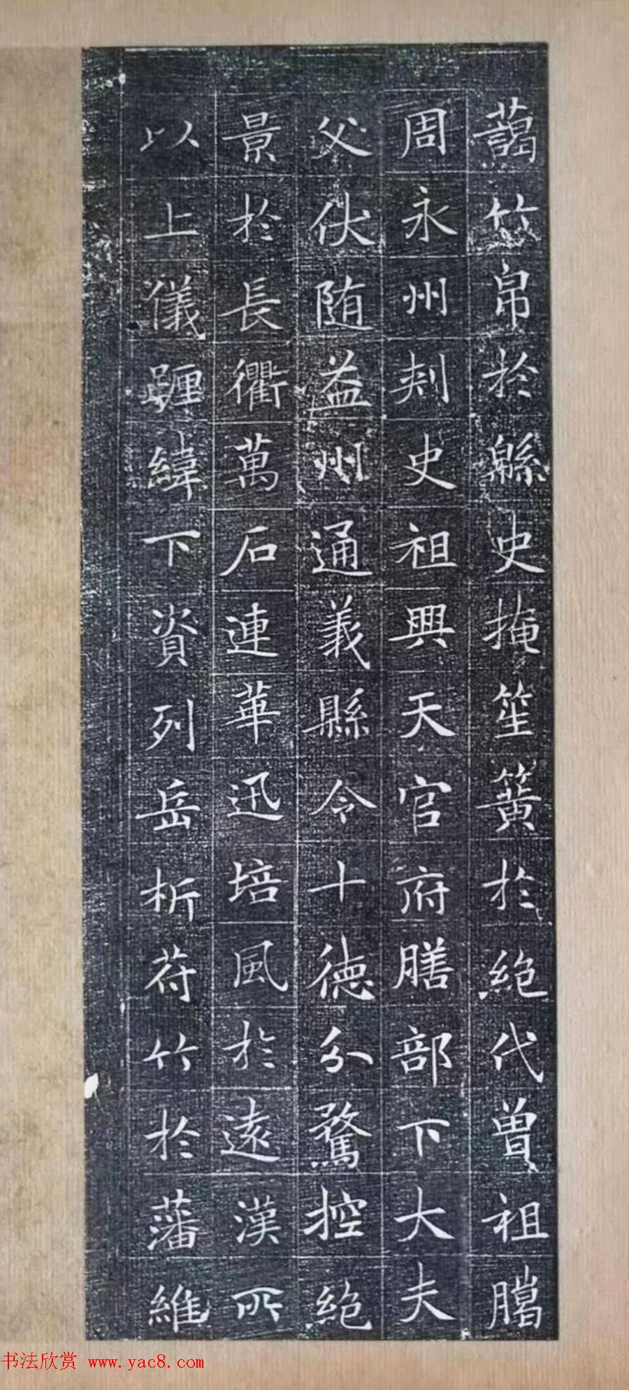 释迦果种植条件与区域探究环境适宜性与生长地理