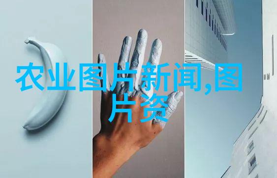 陕西杨凌苗木基地我在杨凌的故事苗木之城的生机与活力