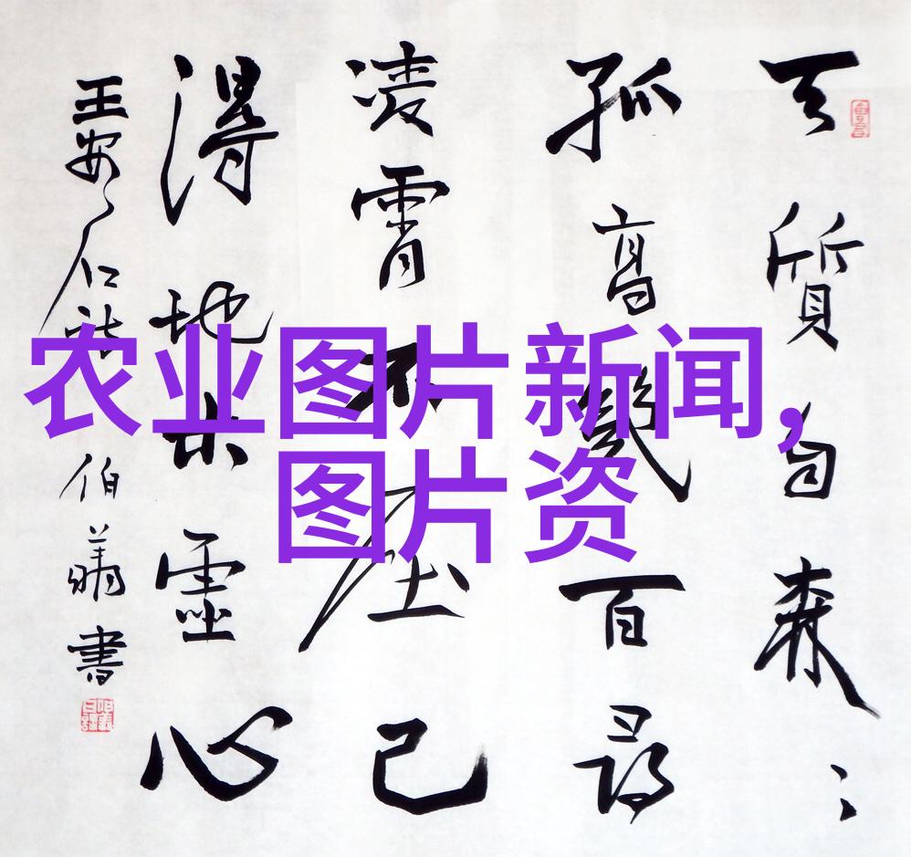 如何正确地为壁虎搭建其栖息地