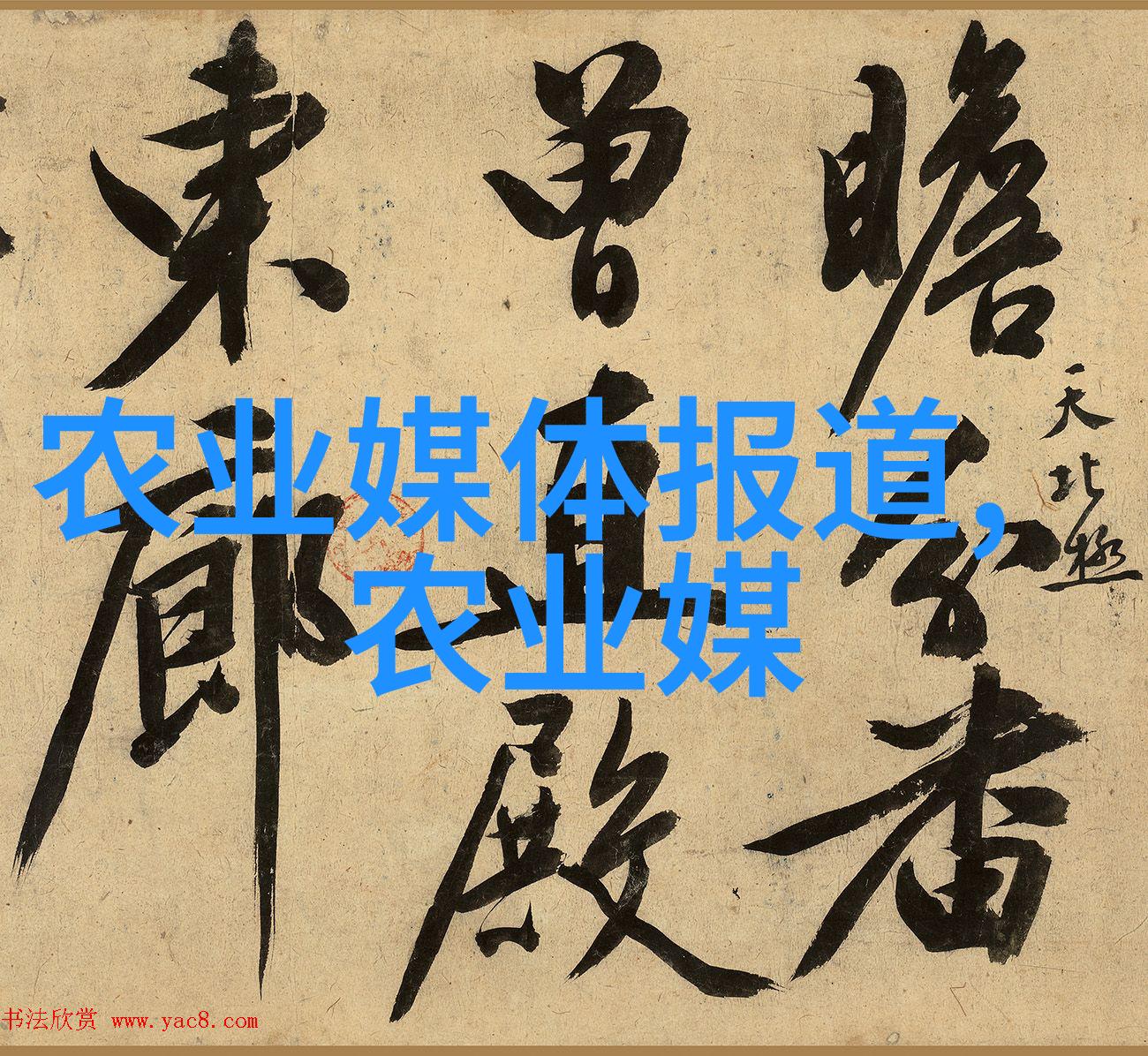 药材百科我和草本的故事从野外采集到家庭用药