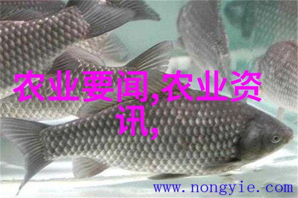 建二亩地大棚费用详解从规划到完工的全过程估算