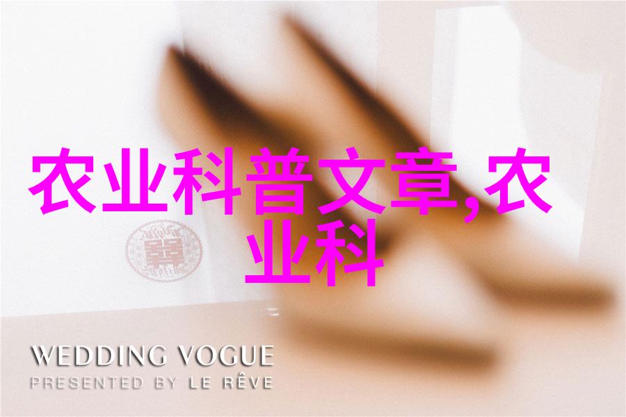 蜜蜂养殖指南从繁殖到收获的全过程