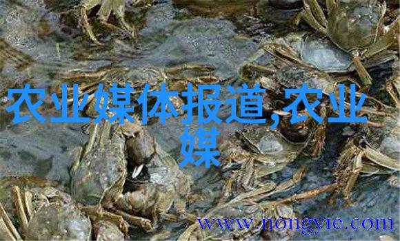 未来的药材三菱种植市场的秘密花园与技术之谜