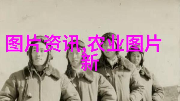 中药材种植基地网络建设的重要性与挑战