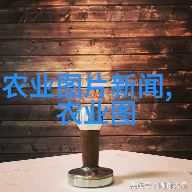 减肥时的油腻问题轻松解决探索最佳茶饮选择