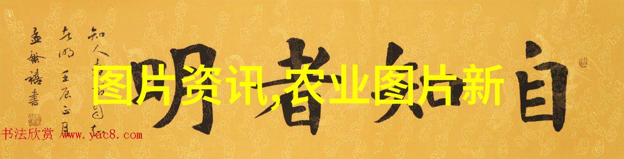 数字媒体技术专业的精髓从编码到创意