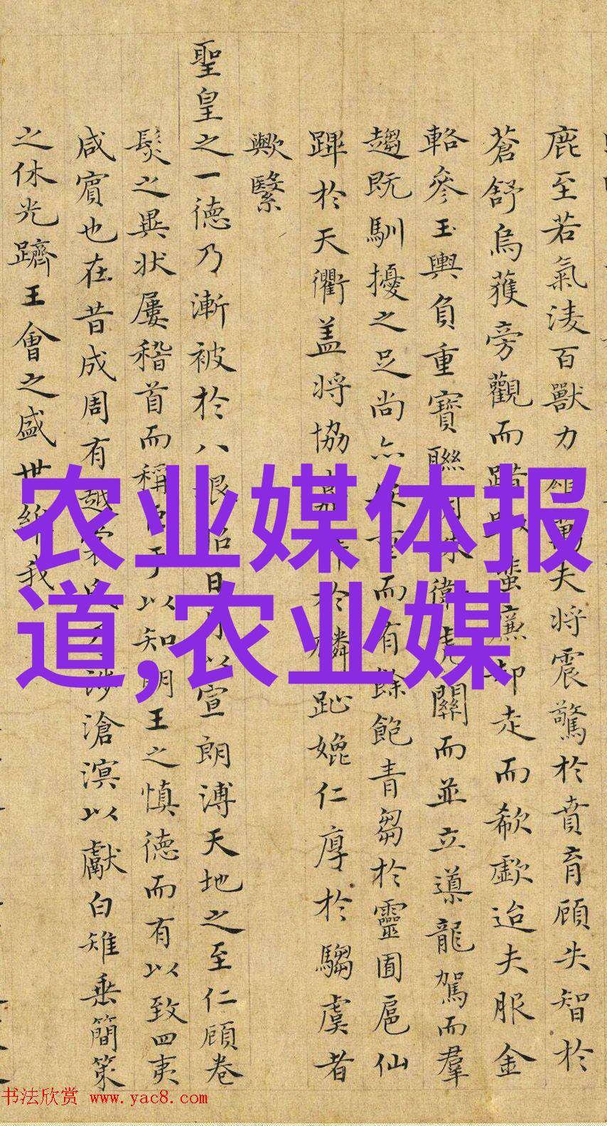 致富网揭秘成功财富管理的数字时代之路