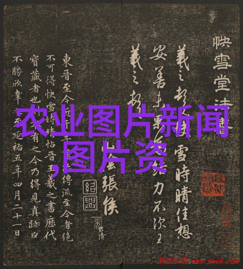 苗木大分类从土生到花开的三大阵营