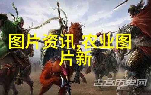 评估公司对树木价格评估标准我是如何把握树木价值的从一家公司的定价标准说起