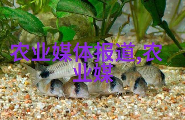 蔬菜冤家不和的邻居