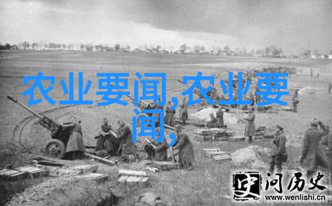 花卉盆栽艺术色彩斑斓的园丁乐趣