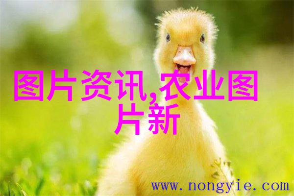 液压机械系统流体动力与精密操控的完美结合