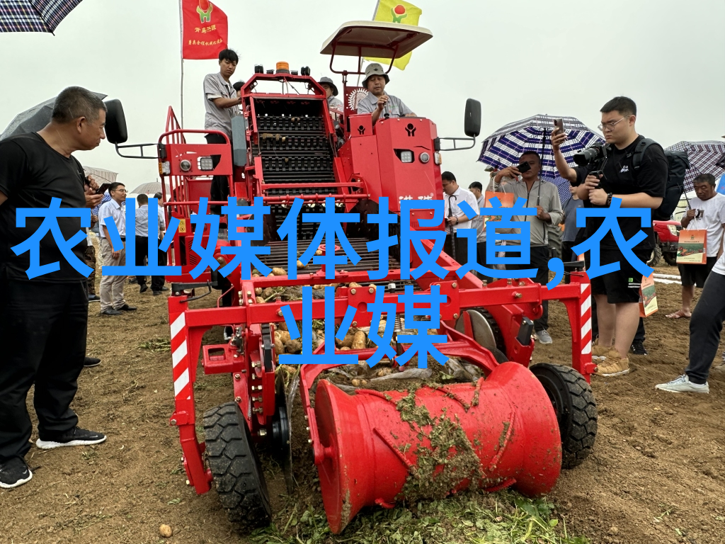 绿意盎然的守护者甘蓝菜的故事