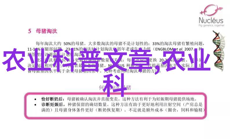 茶艺入门揭秘茶叶的文化与品质
