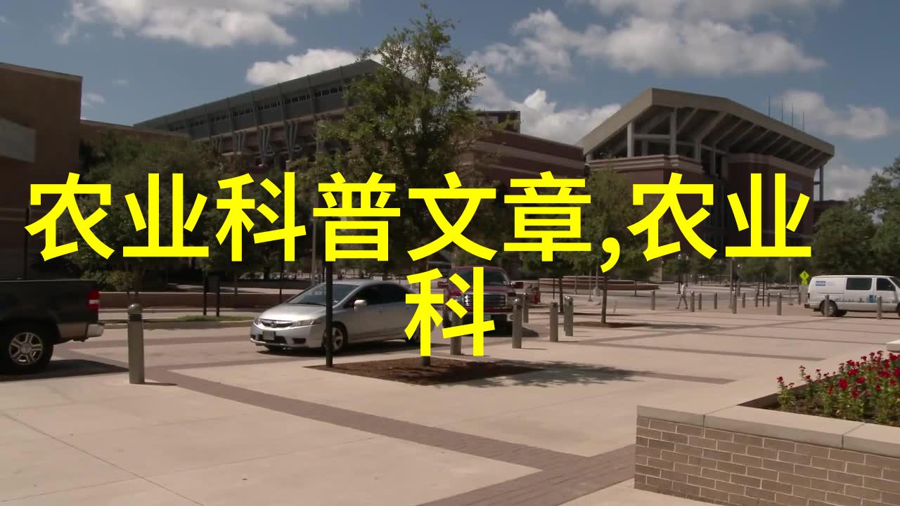 品味千年黄茶泡饮艺术与茶的历史介绍简短100字