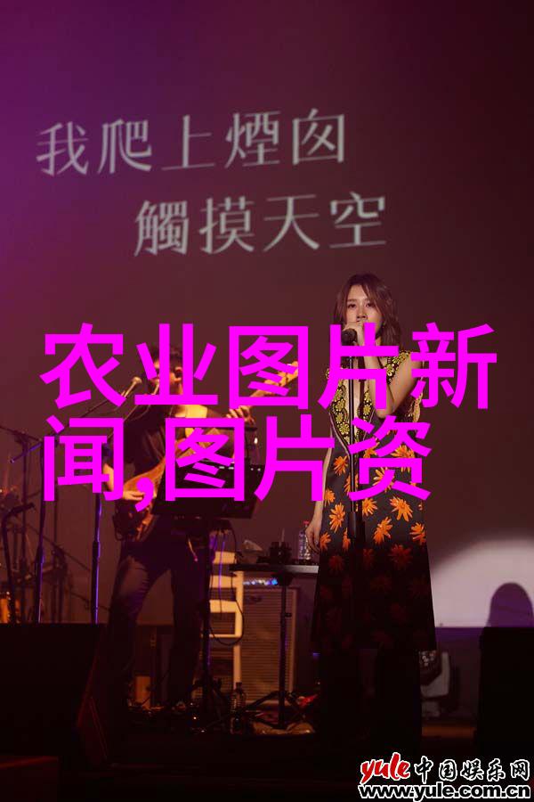 小亩大收获精准种植技术在现代农业中的应用