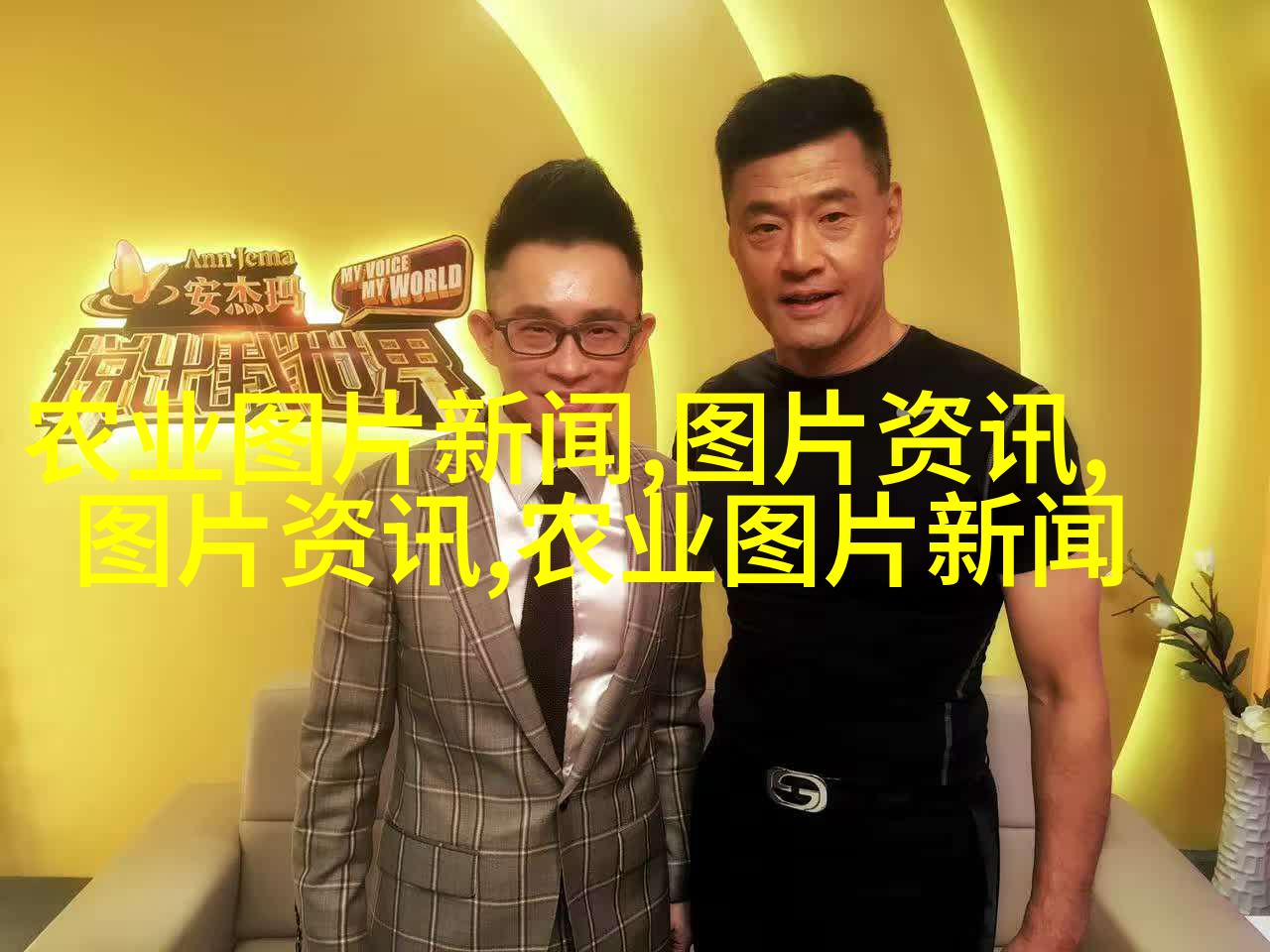 图六：白毫银针