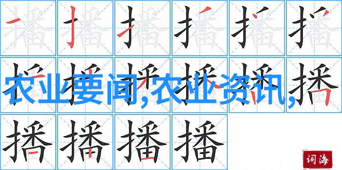 各种果实的种子之美色彩斑斓的生命源泉