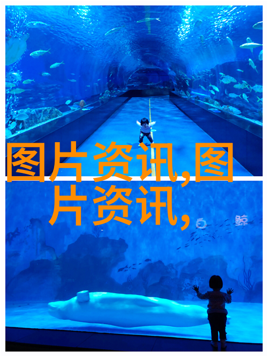 苗木网的选择与维护技巧