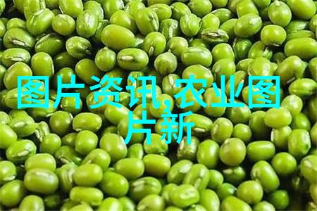 江西省内十大名医推荐使用的顶级草本植物及其特性分析