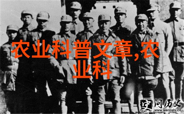 一箱蜂分三箱蜂的方法咱们来看看它是怎么回事
