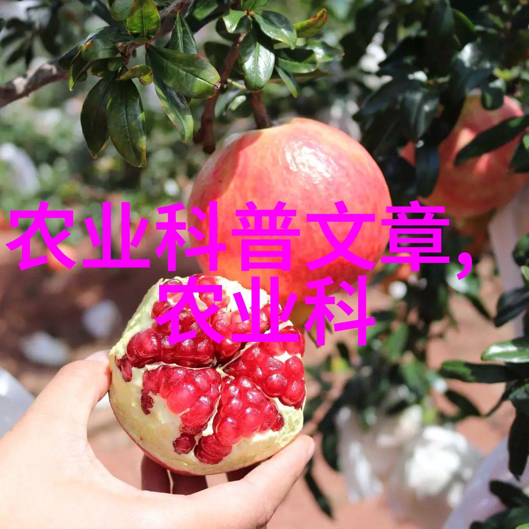北方可种植的水果苹果梨草莓蓝莓黑currant