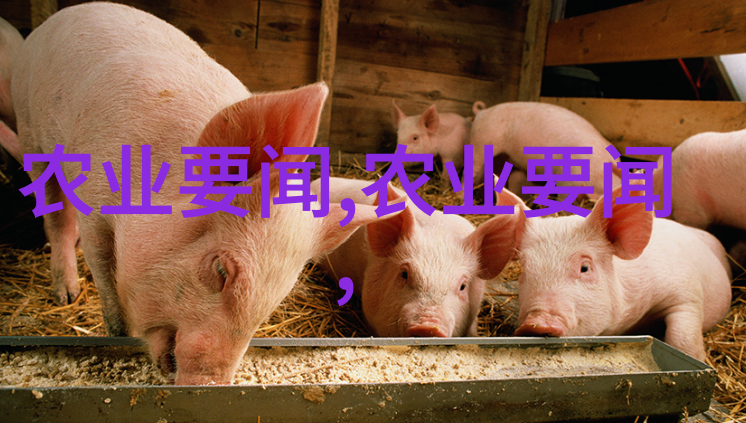 云南中药材种植技术与生态保护的研究