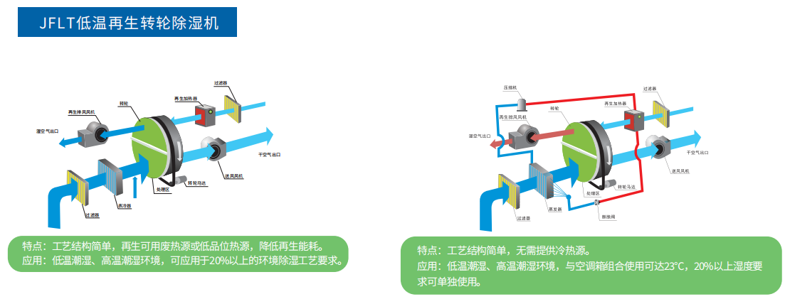 花卉市场批发我去年在一家好玩的花市买了个意外的心动宝贝