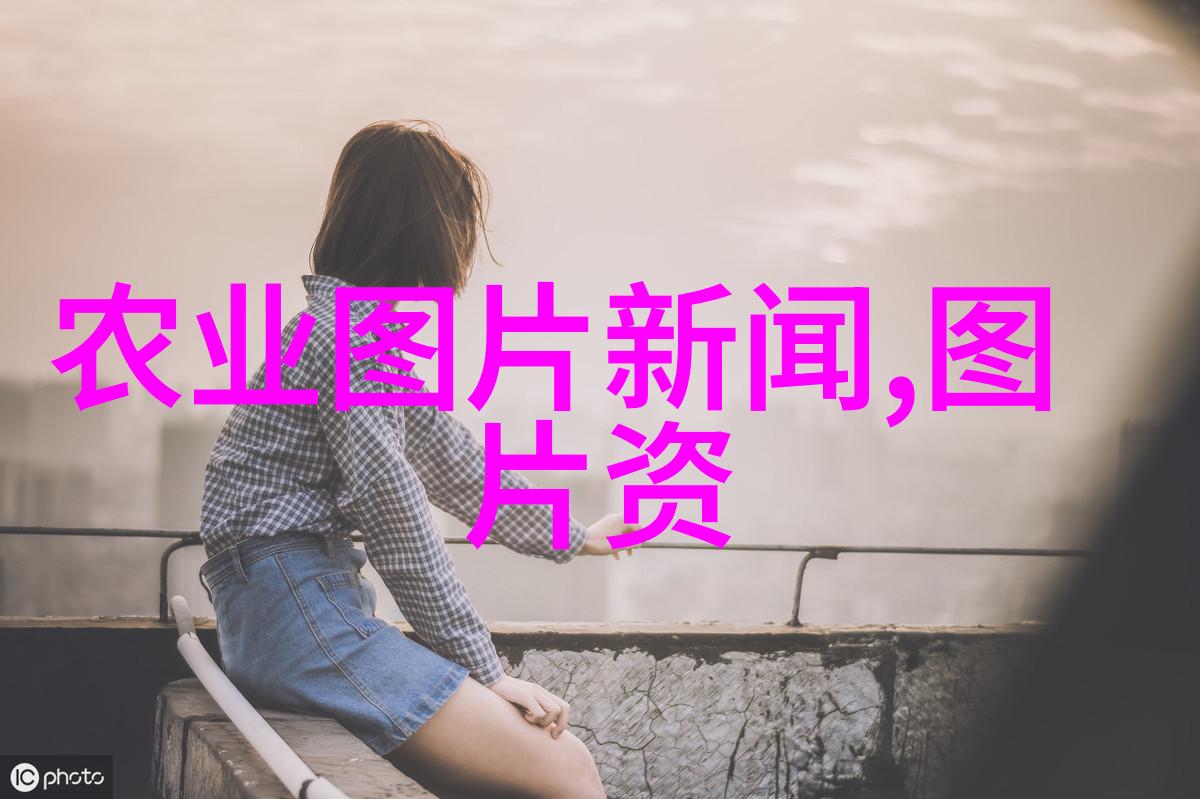 驴背承载丰收的梦想探秘肉驴养殖的魅力与挑战