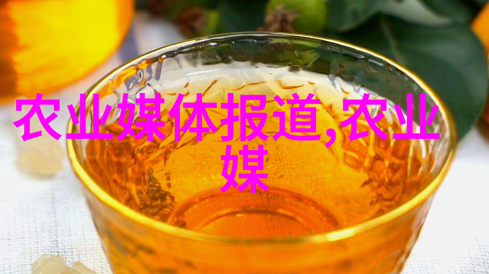 农村土地流转机制深入剖析中国农村土地流转的现状挑战与发展趋势