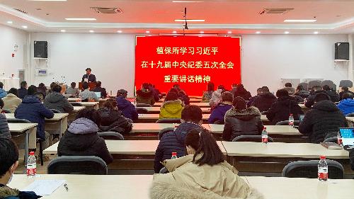 人们为何会将白字与玉字结合起来形容这只动物