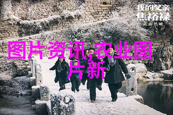 花园在空中无土栽培技术的奇迹与挑战