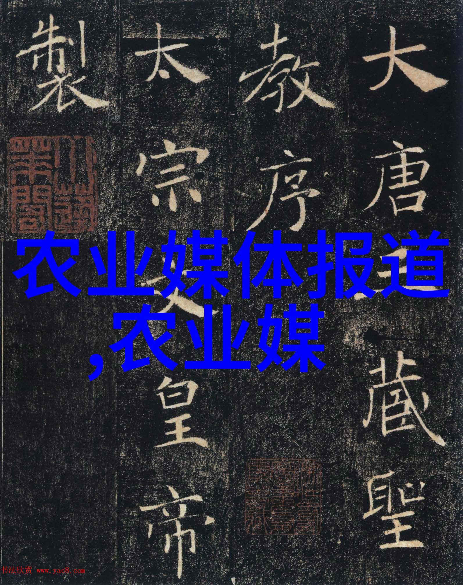 网上最大的农资平台我在这儿找到了改变命运的种子
