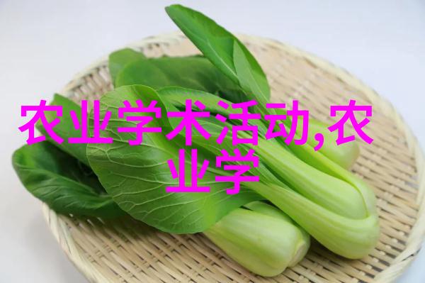 照顾技巧与误区解析让你的木本盆栽永葱不衰