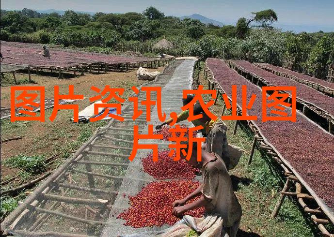 疫苗时空之轮接种的未知未来