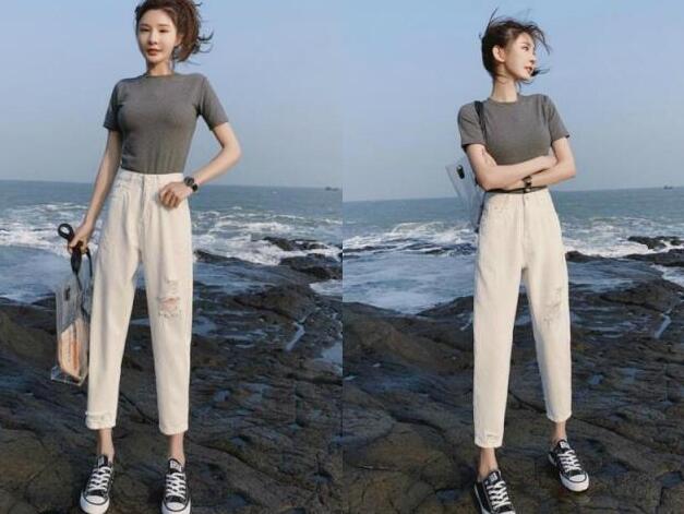小巧美丽的15公分白蜡树如何在你的生活中绽放光彩
