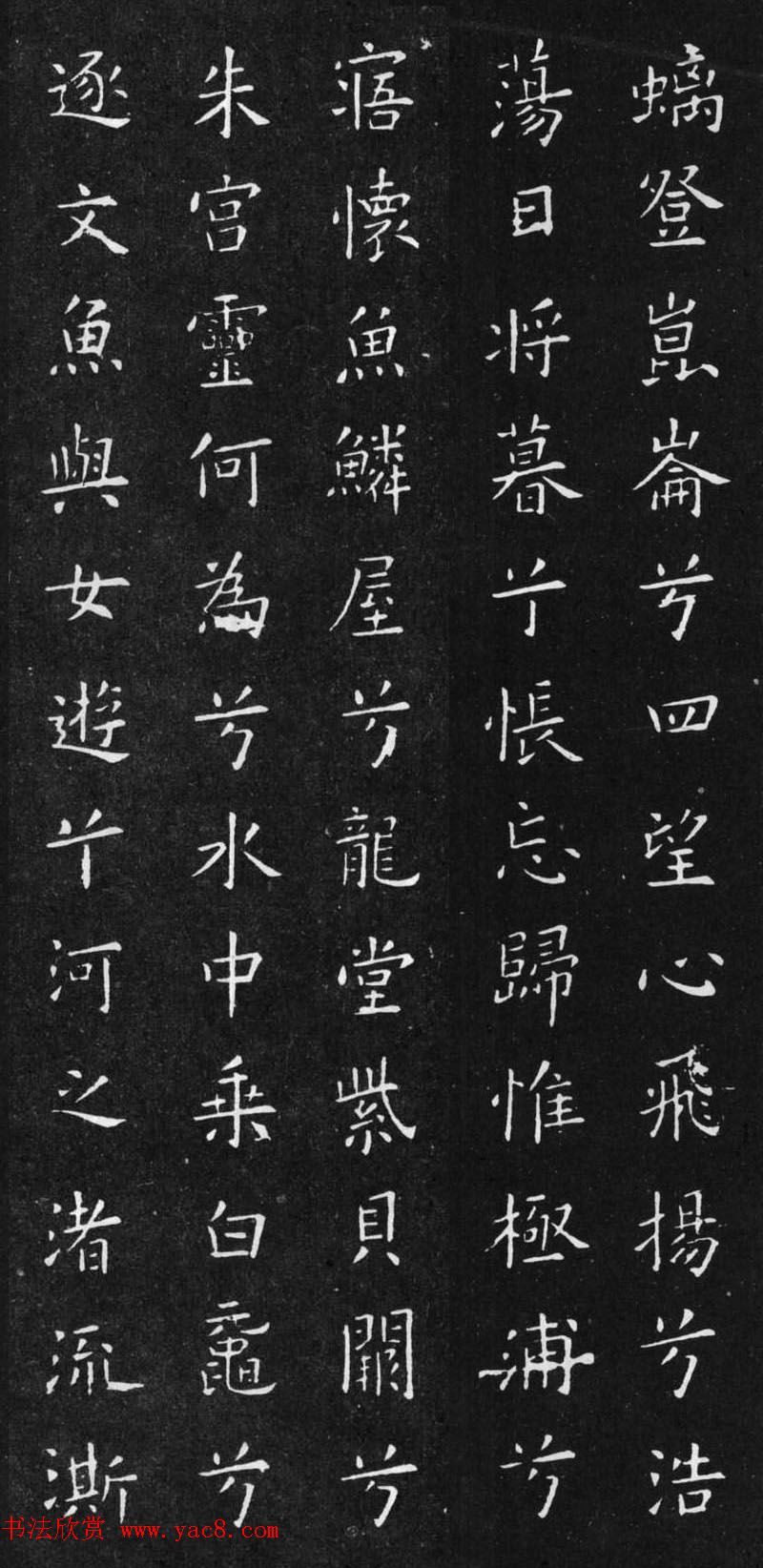 种水果不累的秘密揭秘最容易种的小王八梅